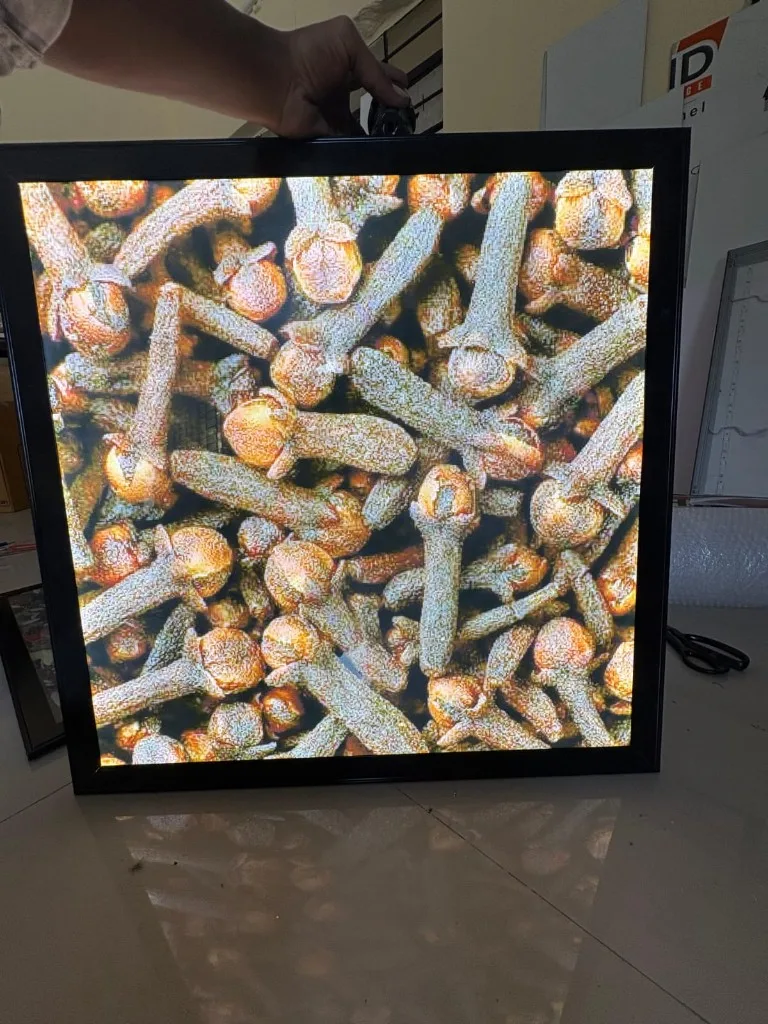 Coral Brand Display, Clip-On LED Frames installed for a retail client in Pune